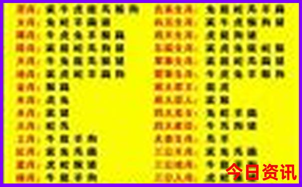 香港49码历史走势图